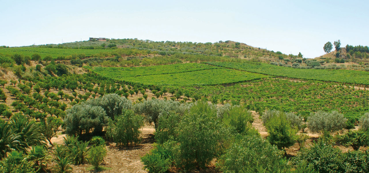 Azienda Agricola Biologica