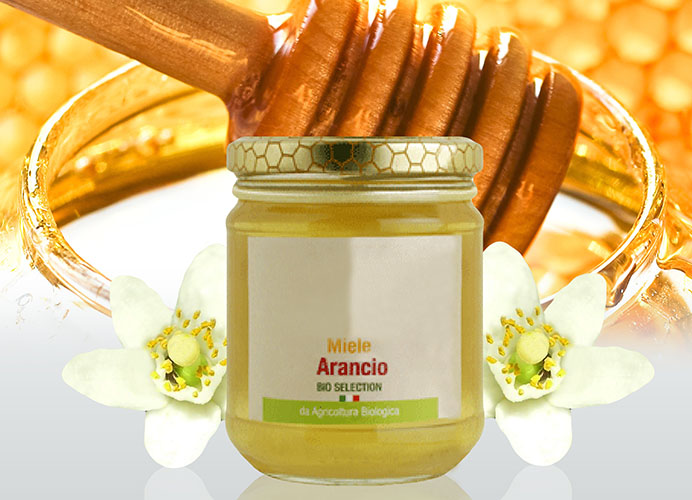 Miele Biologico di Arancio Bio