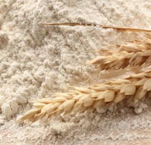 Farina Biologica di Grano Russello