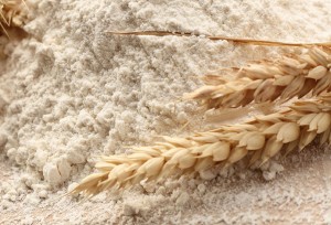 Farina Biologica di Grano Russello