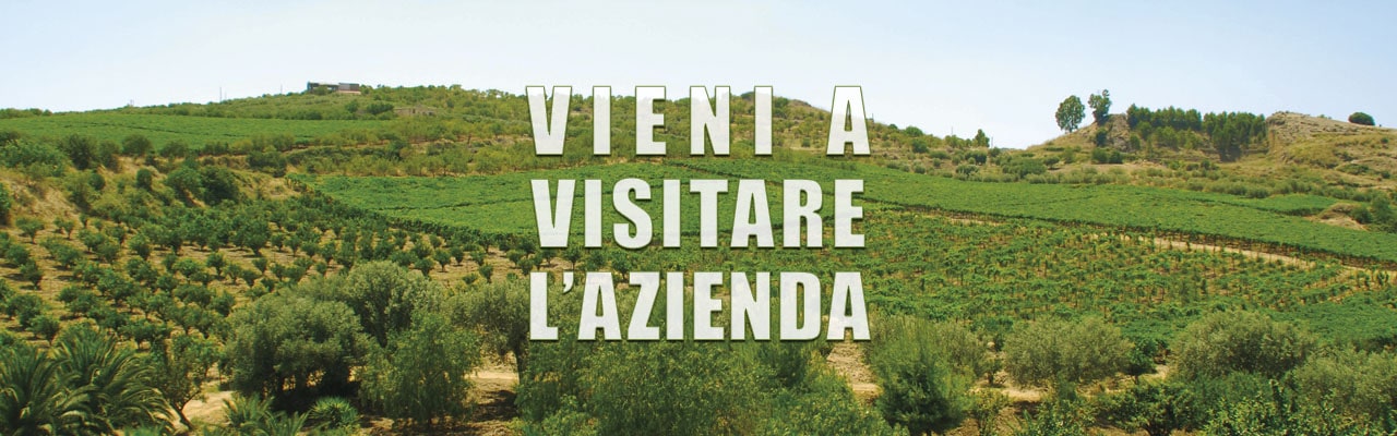 Vieni a visitare l'Azienda Agricola